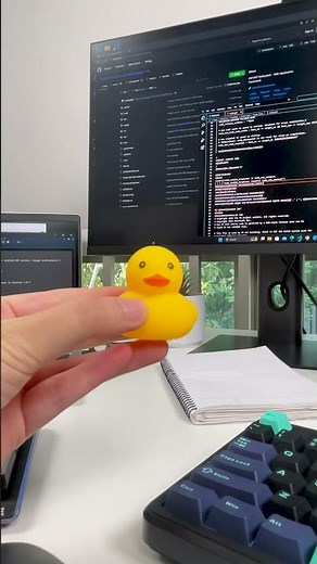 A KVM for dual screens coding setup with two computers