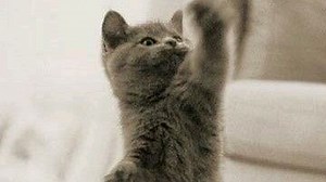 国外恶作剧工作室DM Pranks吓人小丑作品集