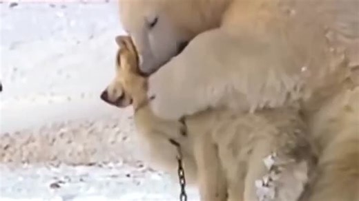 eeb83c01e2ad0d4ad60e925c338af081_526513_1767615273