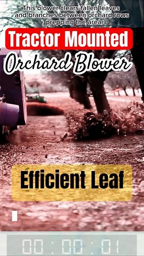 Tractor Mounted Orchard Blower for Efficient Leaf and Debris Cleaning Between Tree Rows
