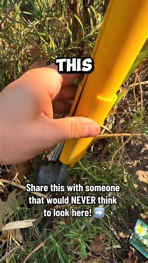 Discover Gadget Caches & Unique Hides Fast! 🔍 | Stay Hullsome