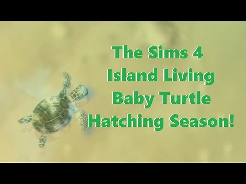 Baby Turtles Hatching Season! | Sims 4 Island Living | SimSkeleton