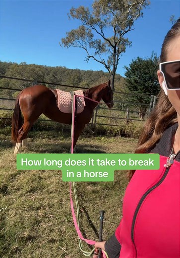 How Long Does Horse Breaking Take? All You Need to Know