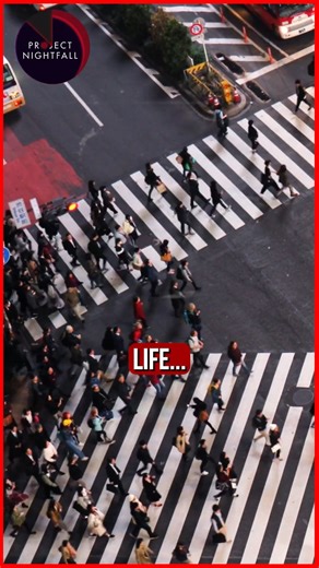 849K views · 37K reactions | Project Nightfall on Reels | Facebook
