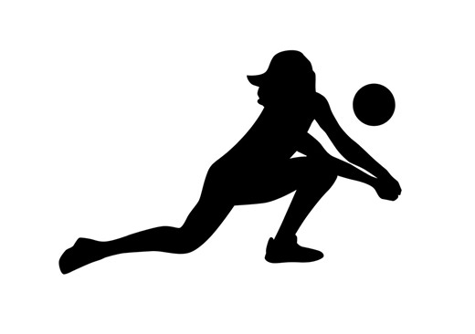 Volleyball - Van Decal • Vinyl Sticker --art.69-- - Etsy