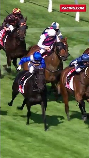 JIGSAW HAS DONE IT 🤯 He takes out the G1 William Reid Stakes, his first Aussie G1! 🇦🇺
