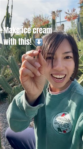 This Tiny Cactus Fruit Used to Make Ice Cream