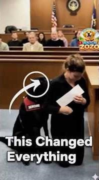 This Service Dog Stopped a Courtroom Breakdown… What Happened Next Shocked Everyone