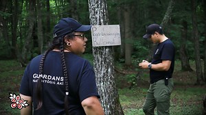 1.7K views · 1.2K reactions | “A butternut tree is a life-giving...