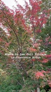 37K views · 107 reactions | Looking for plans this weekend? Franconia...