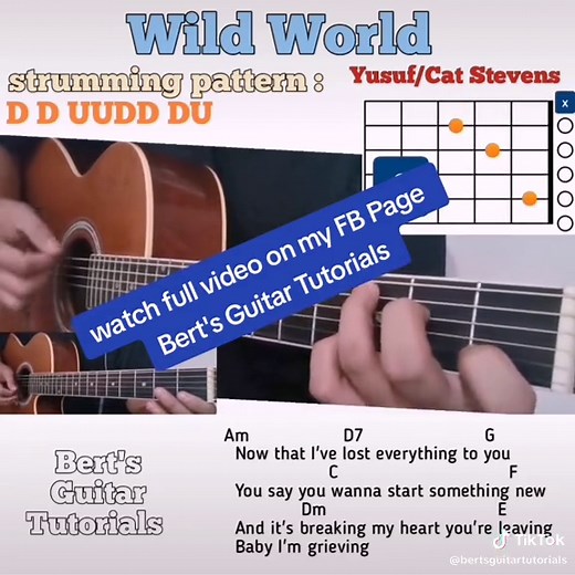 Wild World - Yusuf /Cat Stevens guitar chords w/ lyrics & strumming tutorial