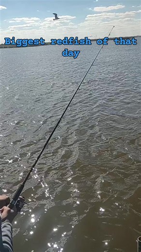 That was the biggest redfish for the day. #saltwatersaboutdoors #lancebilliot #saltwaterfishing #fish #Louisiana | Lance Billiot