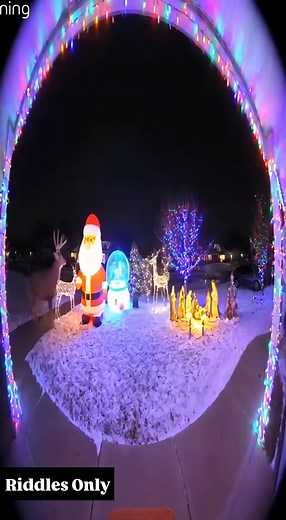 Even the reindeer are like bro, relax | Riddles Only