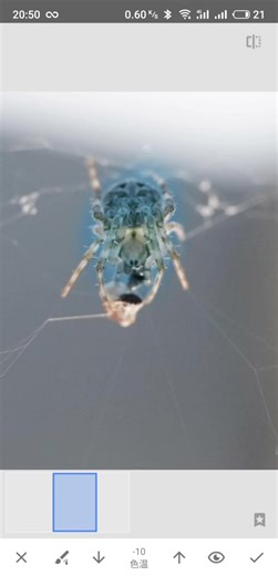 Snapseed学习第三讲，好用的小工具。修复工具，局部调整等......及画面细节先处理好。学会 ？