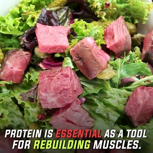 For a limited time only, join our transformative online training program for as low as $8 per week today! . ✅ 100% Personalized Plans ✅ Customized Meal Plans Easy Instructions ✅ Customized Workout Programs⠀ ✅ Access to Member’s Only App ✅ 24/7 support⠀ ✅ Home / Gym Workouts ✅ Cater for all allergies ✅ Available for any country ✅ Macros & Calories perfectly calculated for you⠀ ✅ Access to Private Facebook Support Group ✅ Full Video Library of all Exercises 💥 Results GAURANTEED or your money back