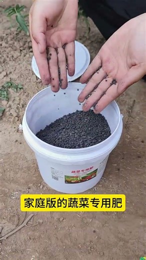 Unlock Veggie Growth Secrets: The Ultimate Fertilizer Guide