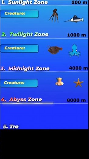 different ocean floor and it's creature #ocean #creature