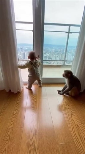 Monkey very Good Job 👍👏❤️ #monkey #humanbaby #baby #beautifull #exelent
