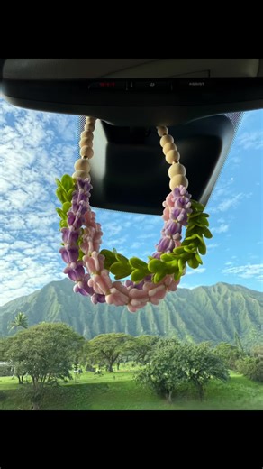 Counting My Blessings: A Grateful Heart