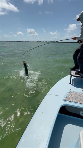 Fly fishing for Tarpon | Florida Keys #flyfishing #millhouse #tarpon #fishing