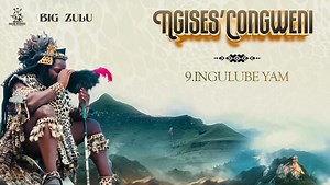 MP3 DOWNLOAD: Big Zulu - Ingulube Yami [  Lyrics] | CeeNaija