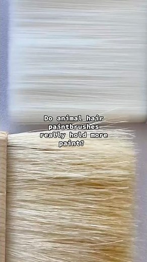 Do animal hair paintbrushes really hold more paint? 🖌️