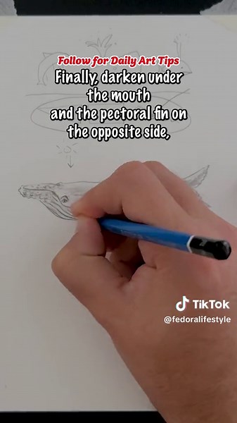 How to Draw a Realistic Whale: Step-by-Step Guide