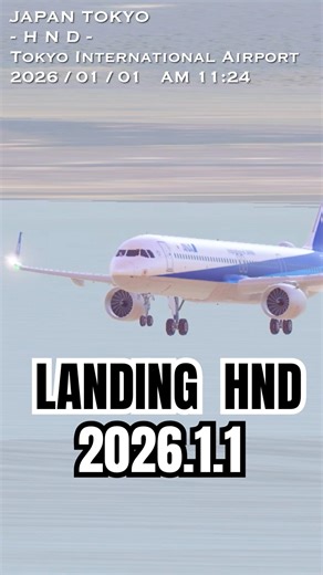 Tokyo International Airport(HND) LANDING ANA #aviation #landing #airport #a320