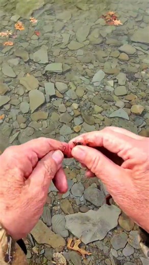 How to use a worm threaded.