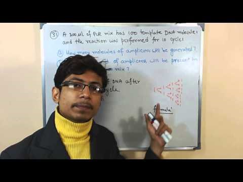 PCR problems on procedure reaction techniques 2 | PCR calculation for CSIR NET life sciences