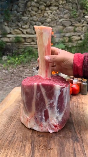 Mastering Outdoor Cooking Techniques