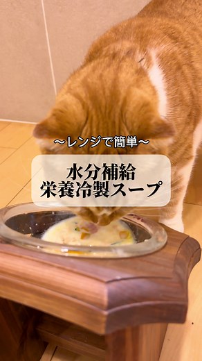 レンジで簡単！夏にピッタリの水分補給ができる栄養冷製スープの作り方