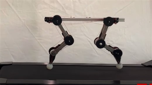 New adaptive quadruped robot moves like a dog without using motors