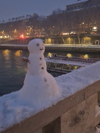 Paris sous la neige: une ambiance hivernale exceptionnelle