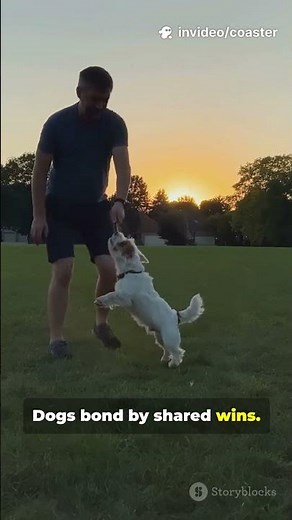 Why Dogs Are So Loyal (It’s Science!) 🐶