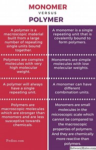 Rozdíly mezi monomerem a polymerem - CHEMIE 2025