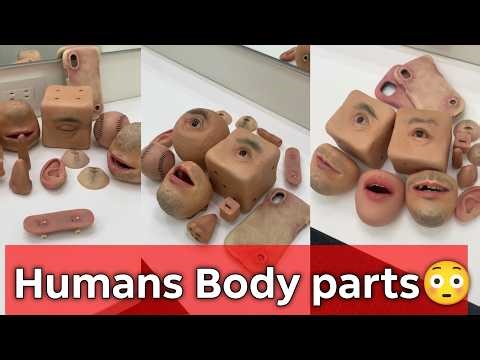 Are these real human body parts… or something even more unbelievable?
