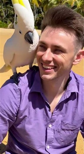 CHIP CHIP AND THE MASTER SEND EVERYONE A SANDWORK OF ART.