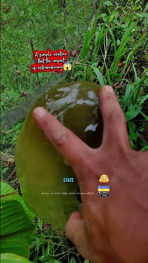 Lakukan secara rutin setiap hari #catfish #farming #agriculture