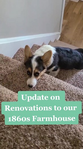 How we tackle projects with our 1860s Farmhouse...restoration on a budget #oldhouse #restoration #interiordesigner #farmhouse #diyprojects #corgis
