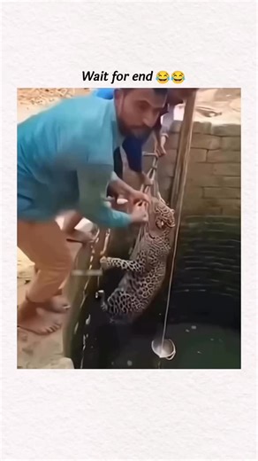 @inspire._.now on Instagram: "在日本，研究人员正利用智能人行道将日常活动转化为清洁能源⚡。这些道路内嵌特殊的压电材料，可以从行人的脚步中收集动能。当人们行走、奔跑或跳跃时，路面会轻微变形，从而产生机械压力。压电晶体将这种压力转化为电能🔋。 这些能量可用于照亮路灯、为公共显示屏供电，甚至监测行人流量。这种技术不仅减少了能源浪费，还展示了未来城市的无限可能🌍。 在东京、京都等城市的试验区，人们的每一步都在为绿色地球贡献力量💚。科技让生活更环保，也让每一个脚步更有意义✨ #日本 #科技 #创新 #可持续 #绿色能源 #未来城市 #环保 #知识 #事实 #推荐 #你知道吗 #技术 #实验 #热门"