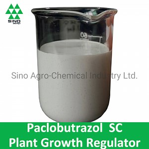 [Hot Item] Mango Fertilizer Paclobutrazol 250g/L Sc Plant Growth Regulator & Fungicide