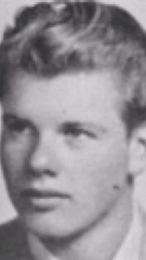 Alan Hale Jr: The Iconic Skipper from Gilligan's Island