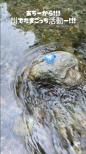 Tamagotchi at the River!!! 【Tamagotchi Paradise】Wait… Tamagotchi at the River?! #tamagotchi #tama...