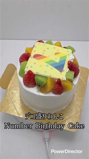 【犬用ケーキ】主役級の可愛さ！レインボー数字のバースデーケーキ🎂🐶 #Shorts #菓の香 #菓の香ケーキ