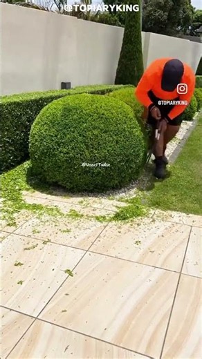 People Think This Is the Easiest Job… Until They See The Final Result 😱🌳