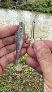 1.6M views · 4.9K reactions | Tips memancing umpan soft lure  #fishing #fishingtips #fishingvideo | Kang Muhidin Fishing | Facebook