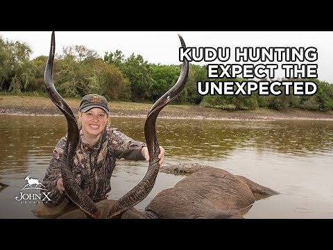 Kudu Hunting - Expect the Unexpected in Africa | John X Safaris