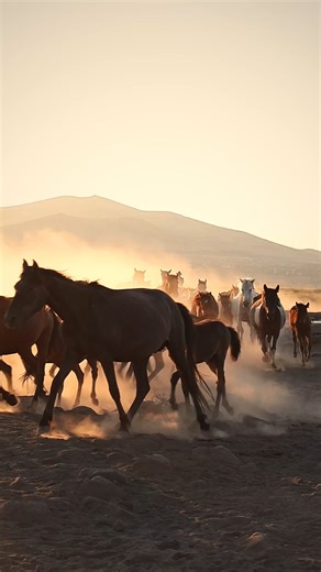 presentation d'une video formation