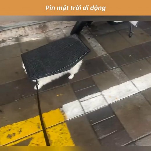 #itv 🕰 | iTV Live